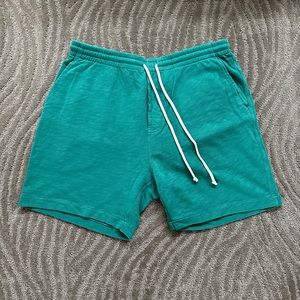 NWOT J. Crew teal blue cotton shorts - L